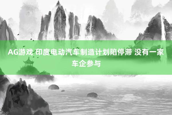 AG游戏 印度电动汽车制造计划陷停滞 没有一家车企参与